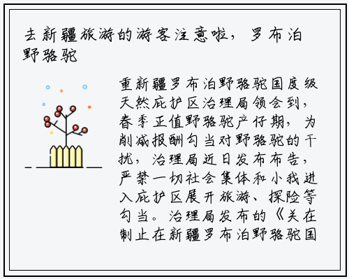 去新疆旅游的游客注意啦，罗布泊野骆驼保护区近期严禁入内_开云电竞